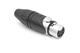 Amphenol Audio AX5F BULK